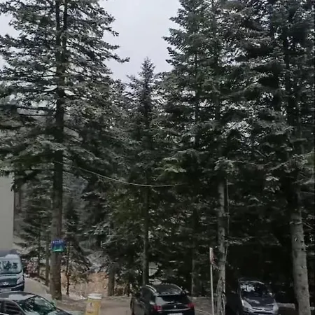 Apartman Bjelasnica